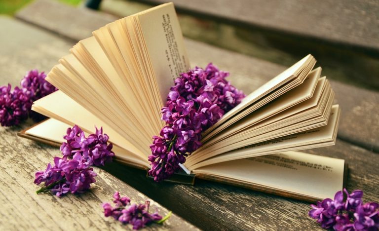 Книгу Книгу