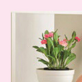 Воспитание до рождения: ребенок в животе