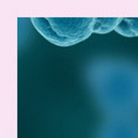 Стрептококковая инфекция