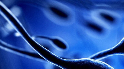 Учимся считать возраст человека по-новому