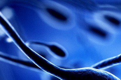 Учимся считать возраст человека по-новому