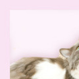 Токсоплазмоз