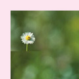 Беременность летом