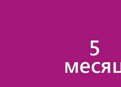 Пятый месяц беременности