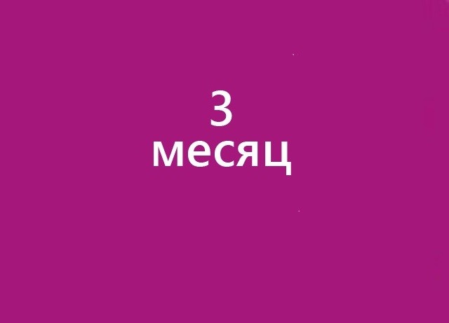 Третий месяц беременности