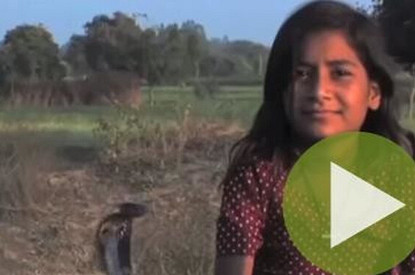 Маленькая повелительница змей