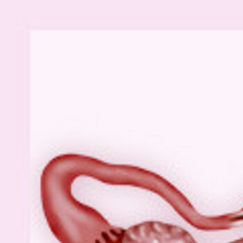 Маточный зев