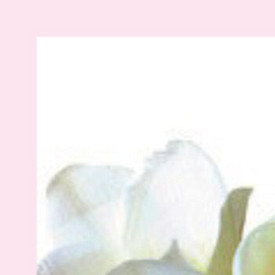 Лицо беременной: уход за веками, губами, подбородком и т.д.