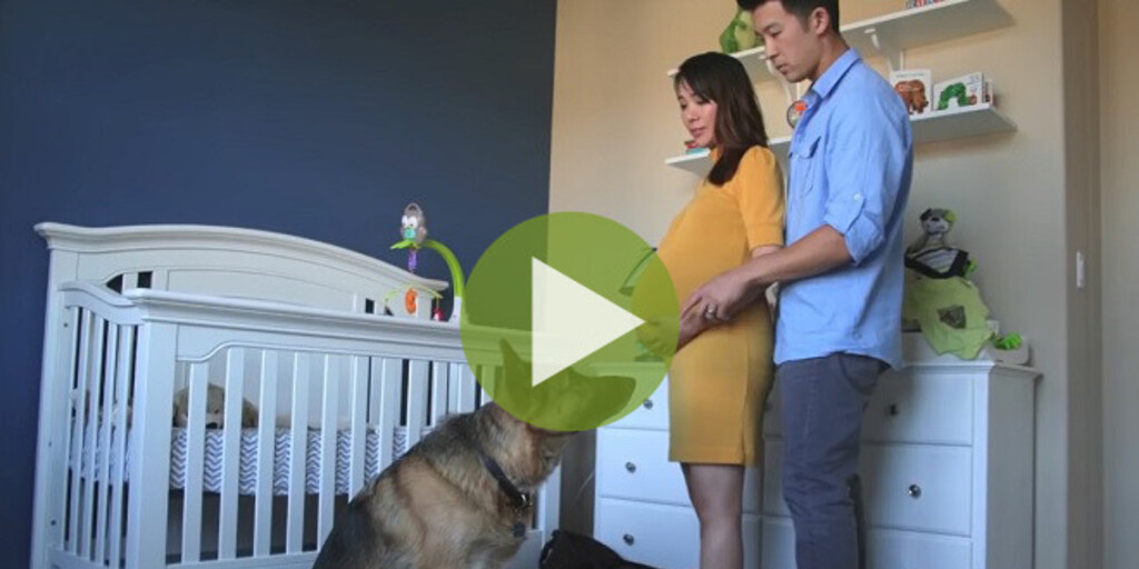 Трогательное видео: Вся беременность за 90 секунд