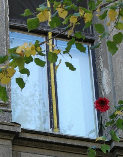 Женщина в окне
