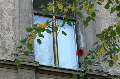 Женщина в окне