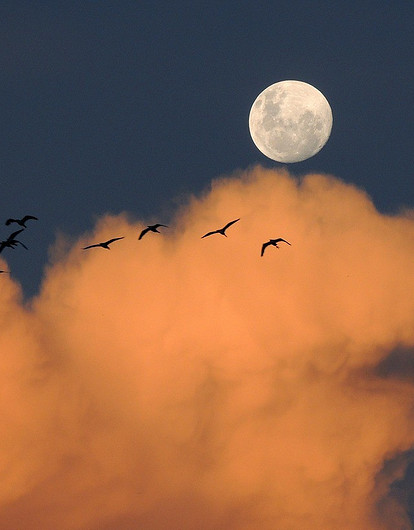 Лунная диета: составляем меню по фазам Луны