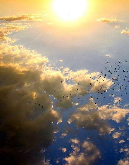 Завтра вновь взойдет Солнце