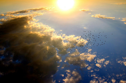 Завтра вновь взойдет Солнце