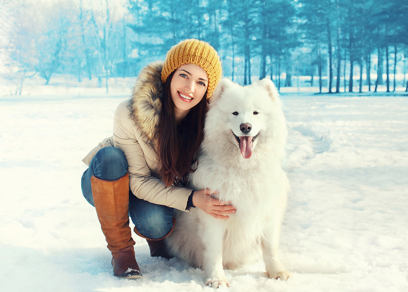 Собаки зимой: 3 главных опасности и как их обойти
