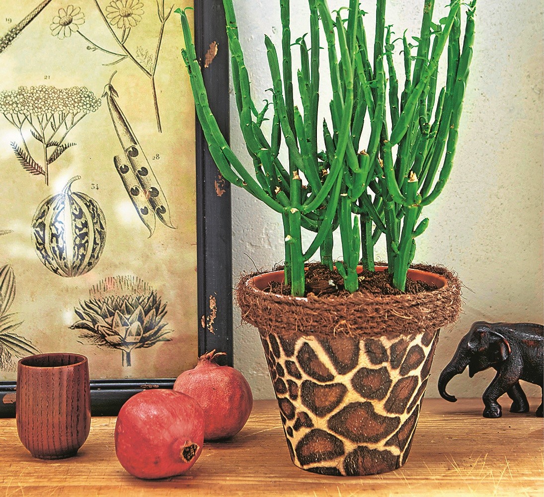 Декор цветочных горшков - 5 способов: из простой вещи в украшение интерьера
