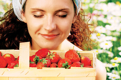 Как выращивать клубнику: советы огородникам