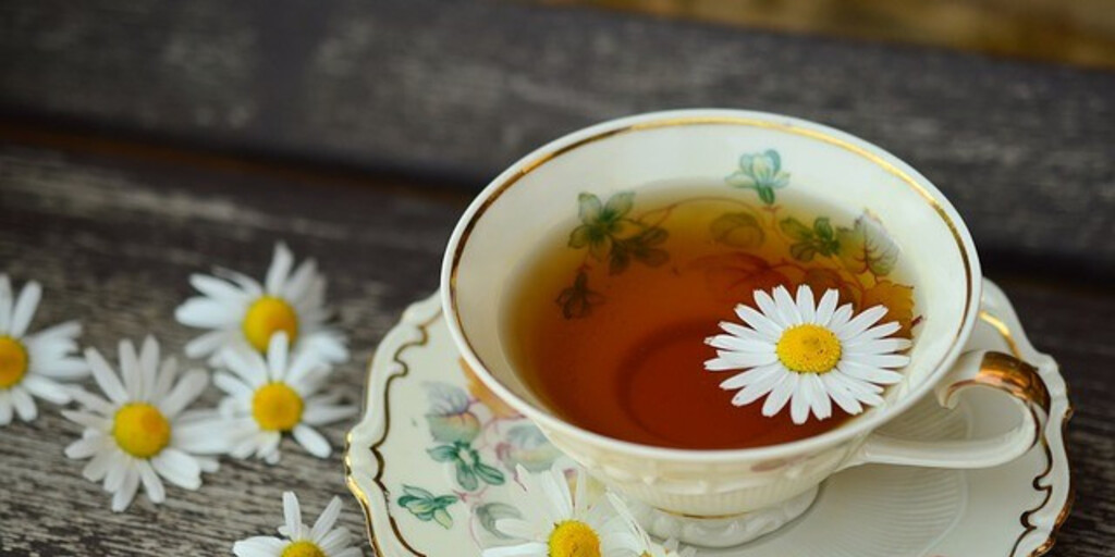 Очищение организма: травяной чай для здоровья