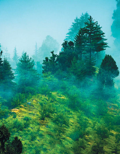 Здесь живет Баба-яга или Путешествие в сказку