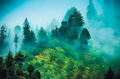 Здесь живет Баба-яга или Путешествие в сказку