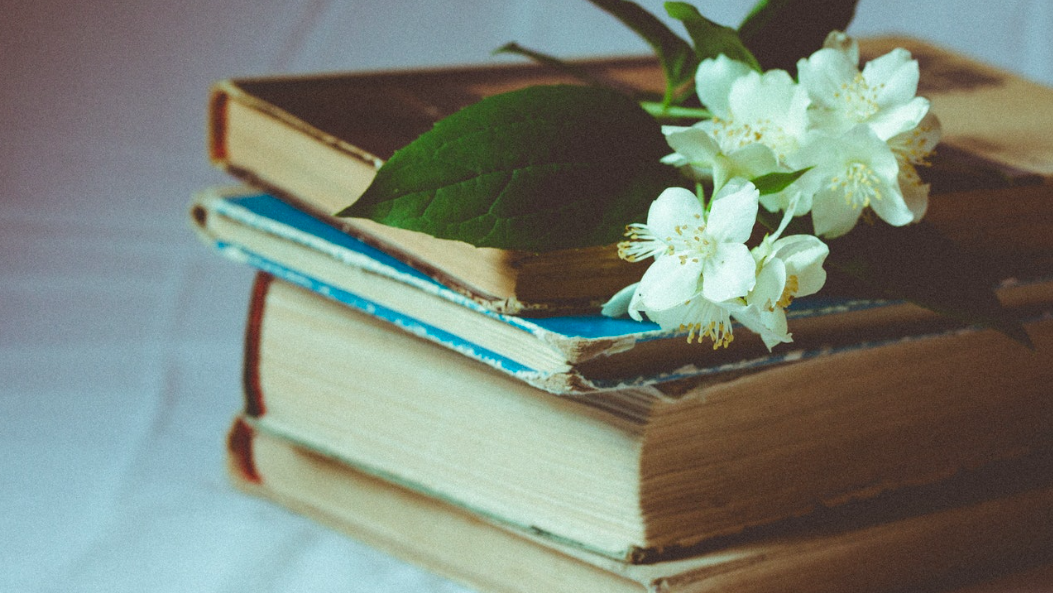 5 книг для тех, кто хочет избавиться от стресса