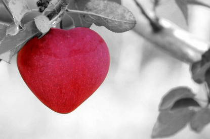 Любовь как одностороннее движение