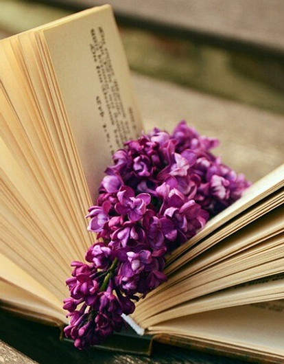 Книги как развитие или пережитки прошлого