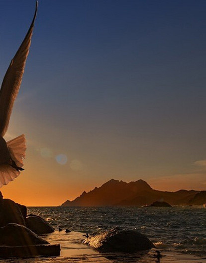 Как накопить деньги на поездку к морю: советы финансиста