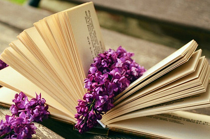 Книги как развитие или пережитки прошлого