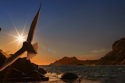 Как накопить деньги на поездку к морю: советы финансиста