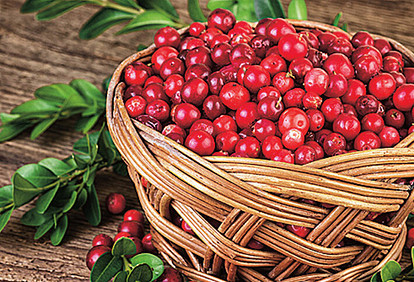 Едим и худеем: 5 продуктов-жиросжигателей