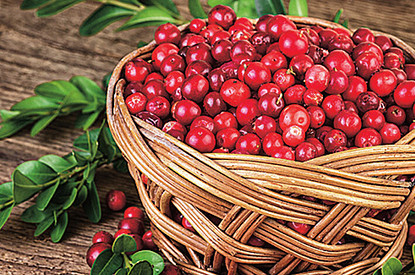 Едим и худеем: 5 продуктов-жиросжигателей