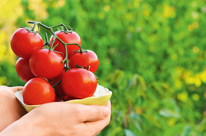Топ-7 продуктов против рака
