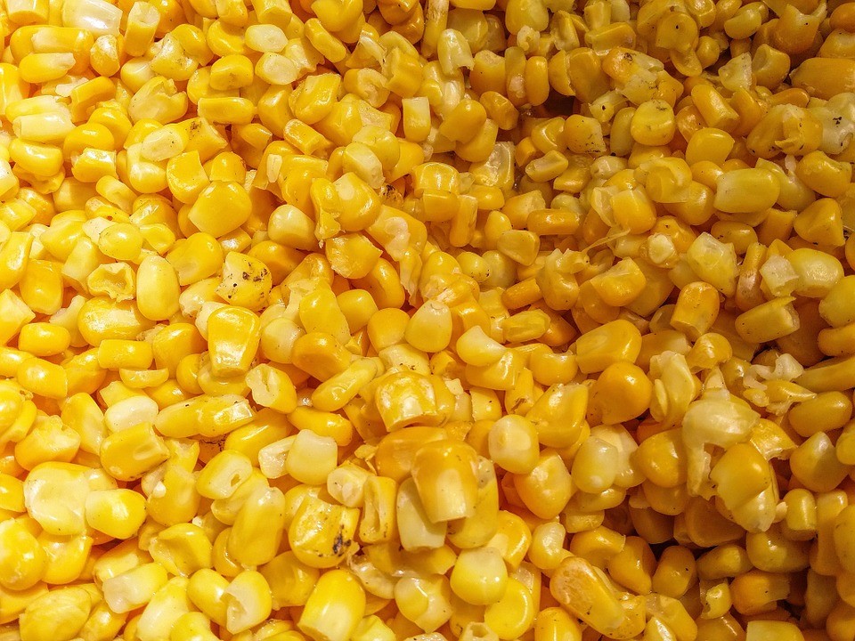 Кукуруза консервированная, вкусных рецептов с фото Алимеро