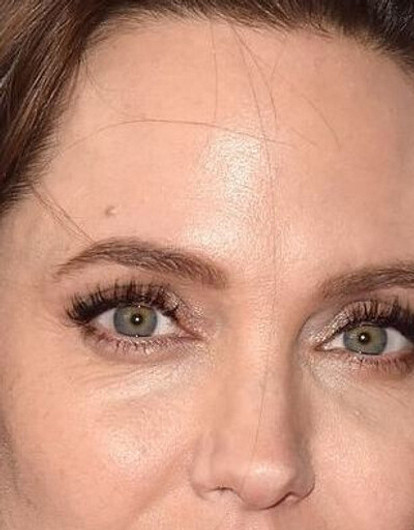 Анджелина Джоли вышла в свет со своими детьми