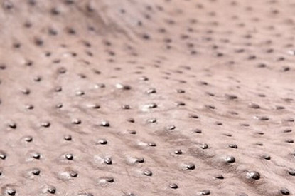 Как я 10 лет боролась с прыщами. Личный опыт