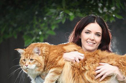 Почему мейн-куны попали в Книгу рекордов Гиннесса?