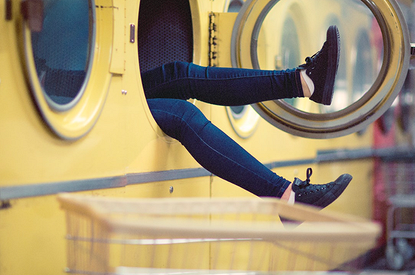 4 вида опасных домашних вредителей, которых мы не видим