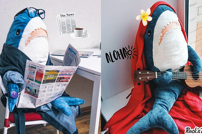 Акула из IKEA взорвала соцсети: плюшевая игрушка, на которой помешались все взрослые