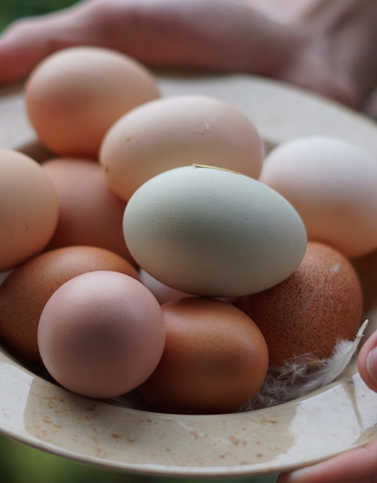 Диета Магги: как похудеть на 20 кг за 4 недели