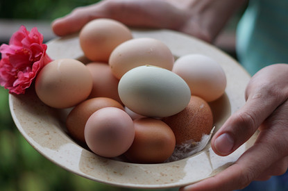 Диета Магги: как похудеть на 20 кг за 4 недели