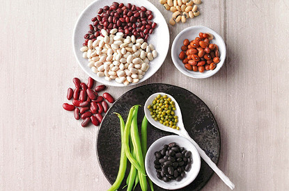 8 сортов фасоли: их названия и применение