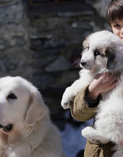 5 фильмов о детстве, в котором не было интернета и компьютерных игр