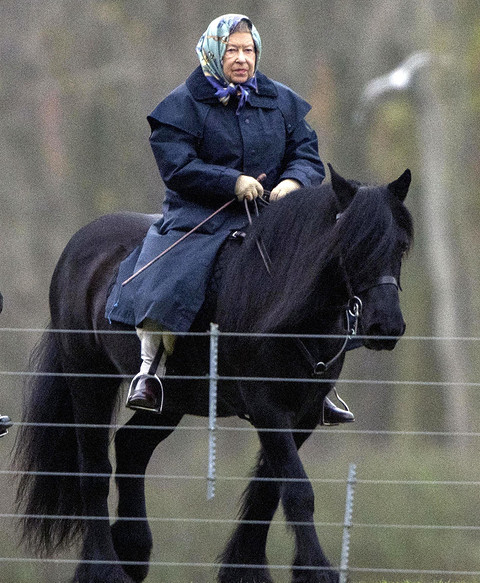 Елизавета II очень любит в жизни две вещи: разводить корги и заниматься верховой ездой. Кстати, скаковых лошадей королева Великобритании тоже разводит. Первое занятие с лошадьми в ее жизн...