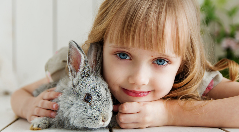 5 правил безопасного общения ребенка с животными