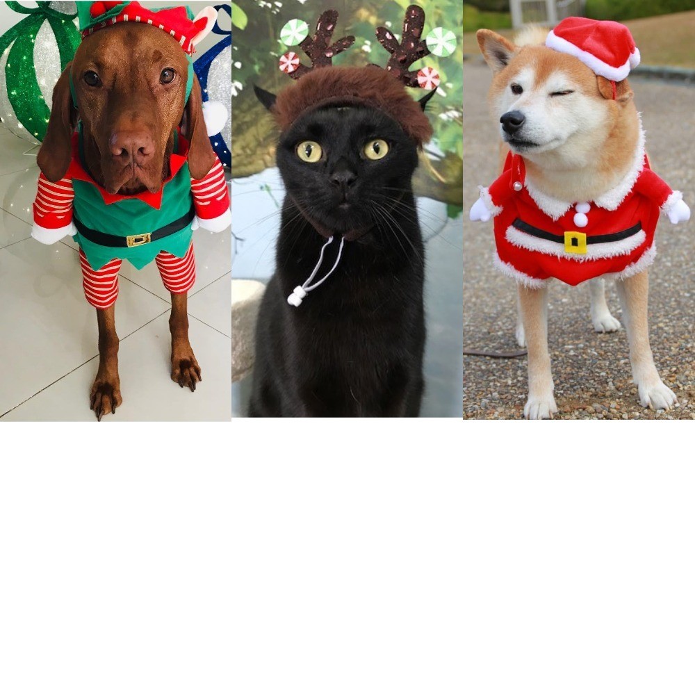 Новогодний костюм Санты для собаки своими руками/DIY Dog Santa costume/DOGS IN CHRISTMAS COSTUME