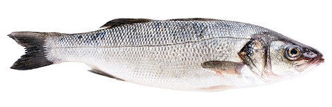 Две порции жирной рыбы в неделю способны продлить жизнь на несколько лет, доказали сотрудники Гарвардской школы общественного здравоохранения. Ученые считают, что этот эффект достигается...