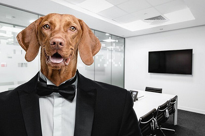 «Мне не нужен отдых»: 22 фразы, уместные на собеседовании и в постели