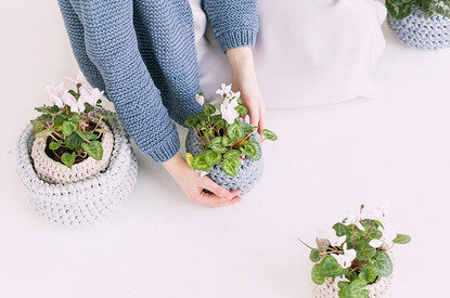 Лунный календарь: когда и как лучше всего ухаживать за растениями зимой