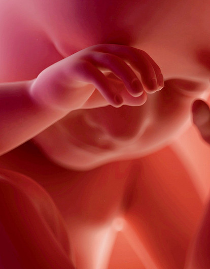 9 способностей малыша до появления на свет